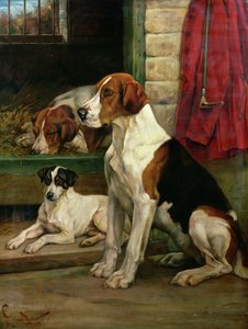 犬小屋で
